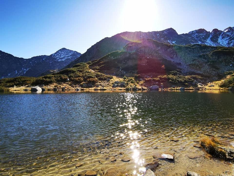 Chata Drevenica Габовка Экстерьер фото