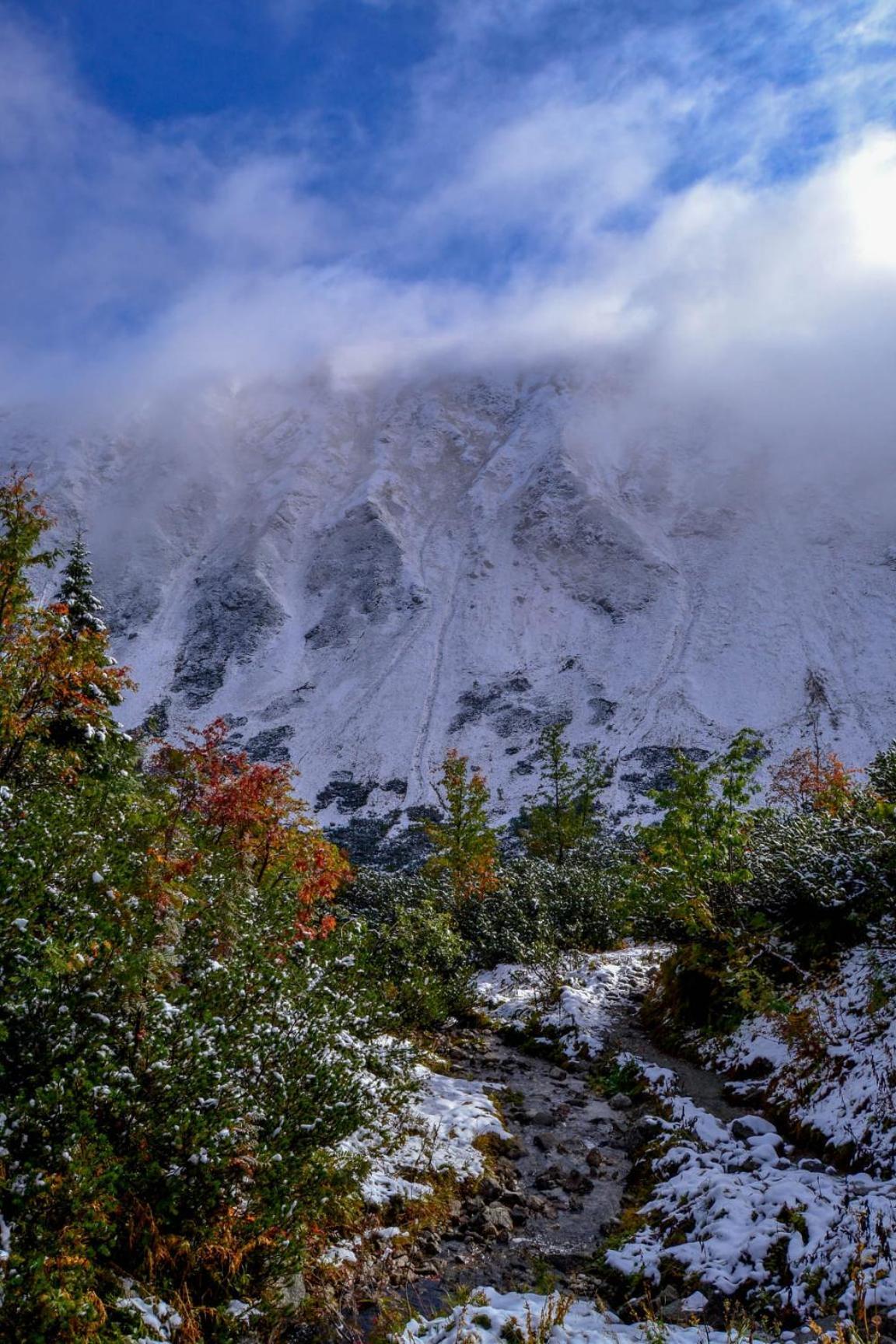 Chata Drevenica Габовка Экстерьер фото